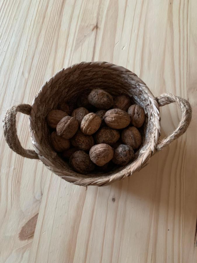 Maison Chaleureuse A La Campagne Payrignac Exteriör bild
